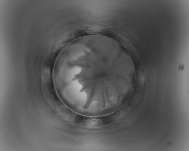 X0000114170711200910081523