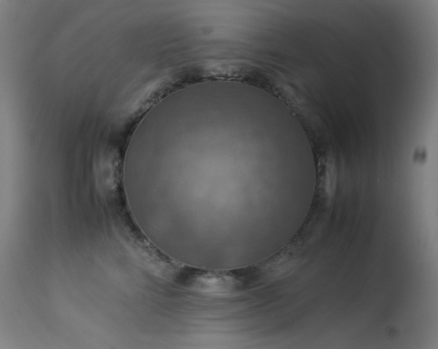 X0000114170712200910081523