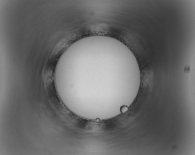 X0000114170713200910081523