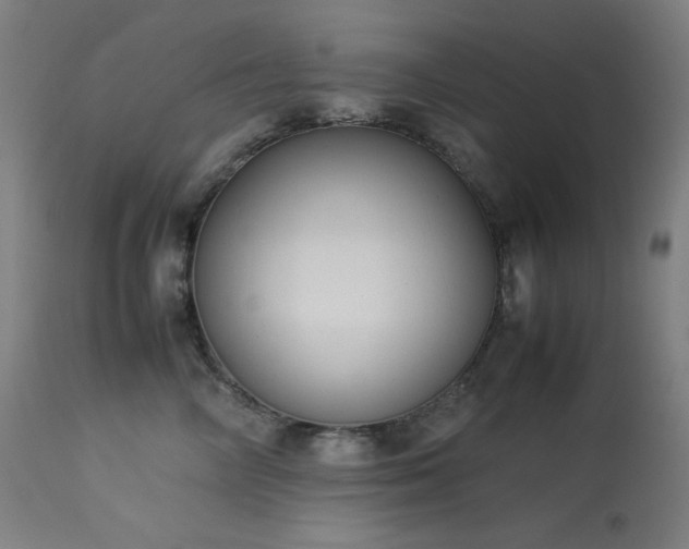 X0000114170714200910081522