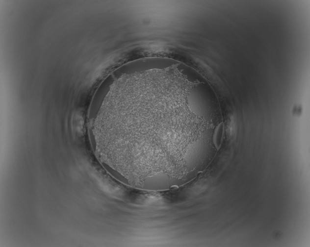X0000114170715200910081522