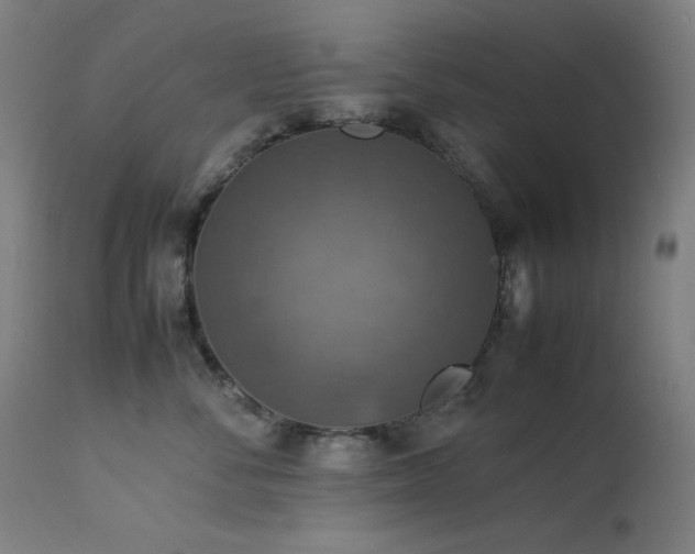 X0000114170716200910081522