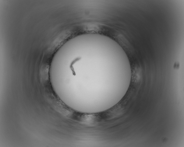 X0000114170717200910081522