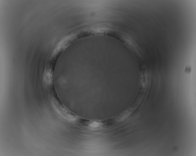 X0000114170718200910081522