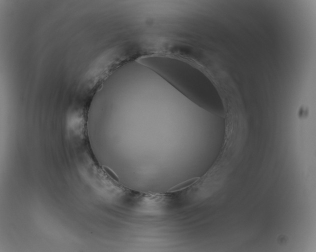 X0000114170720200910081522