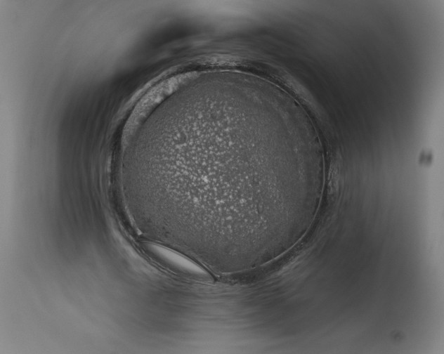 X0000114170722200910081522