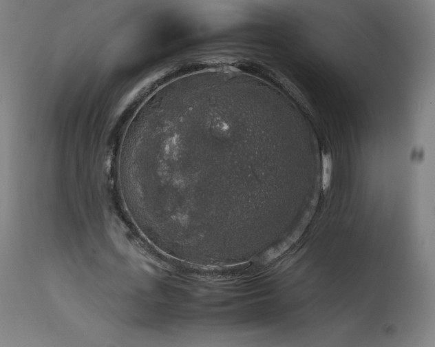 X0000114170723200910081522