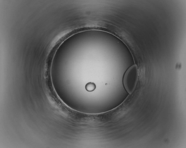 X0000114170724200910081522