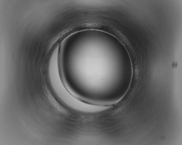 X0000114170725200910081522