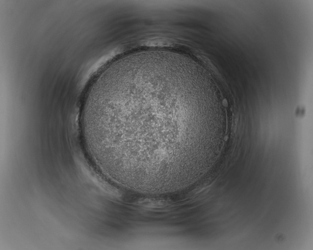 X0000114170727200910081522