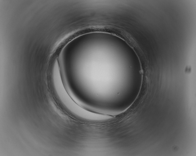 X0000114170728200910081522