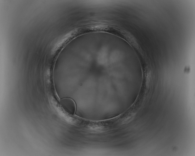 X0000114170729200910081522