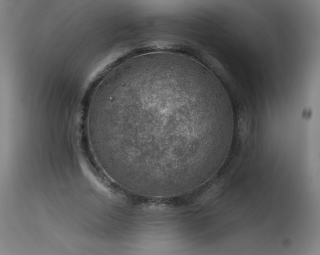X0000114170730200910081522