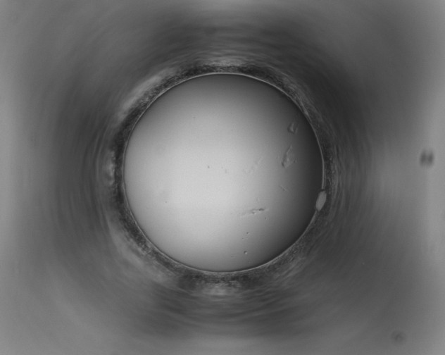 X0000114170731200910081522