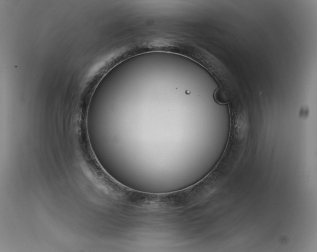 X0000114170732200910081522