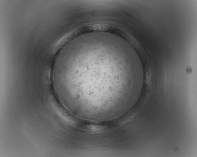 X0000114170733200910081522
