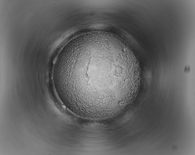X0000114170734200910081522