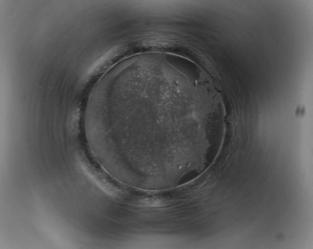 X0000114170735200910081522