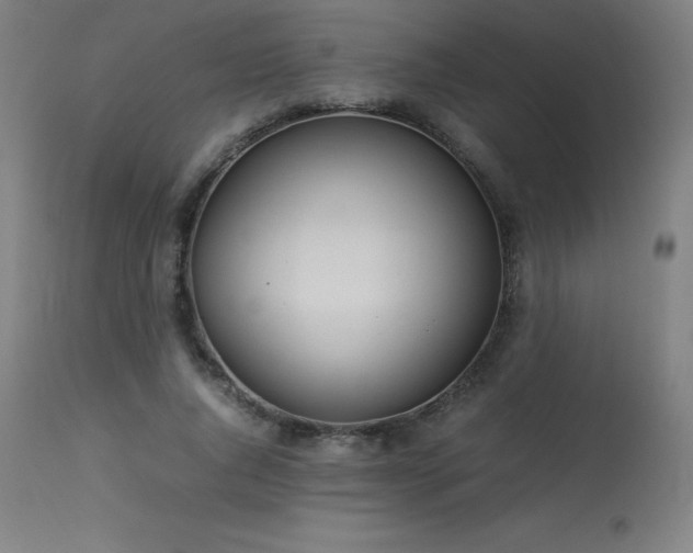 X0000114170736200910081522