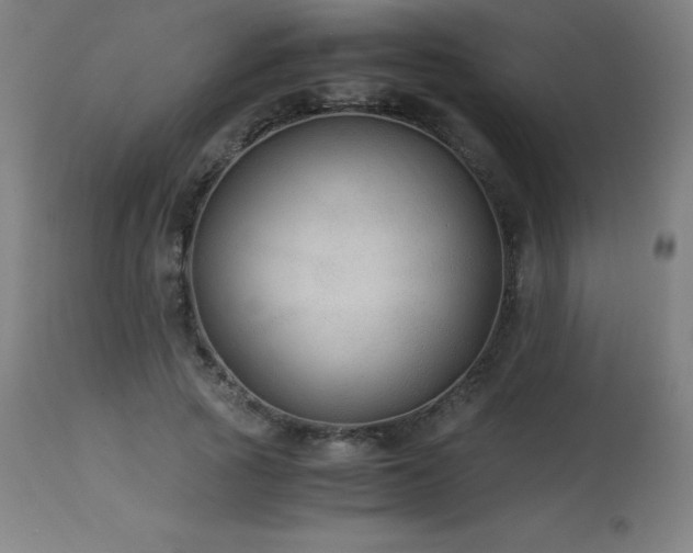 X0000114170737200910081522