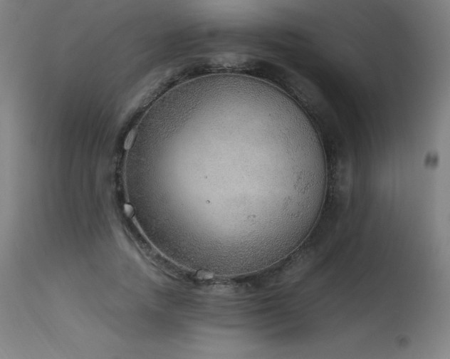 X0000114170738200910081522