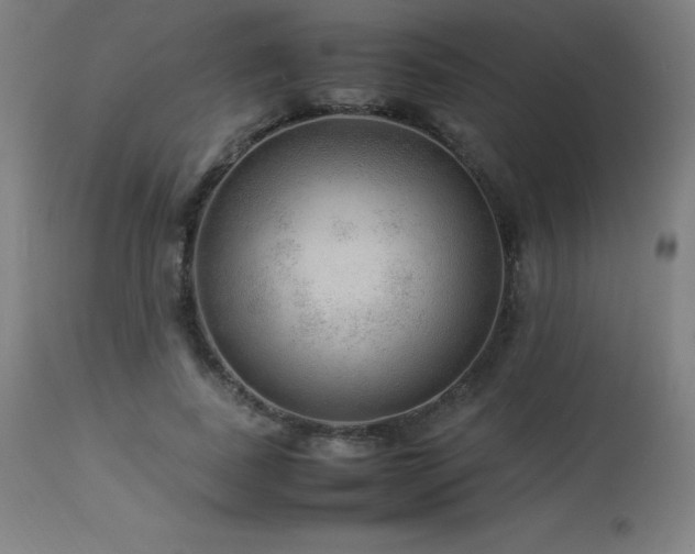 X0000114170739200910081522
