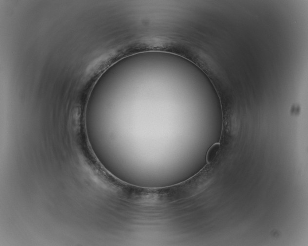 X0000114170740200910081522