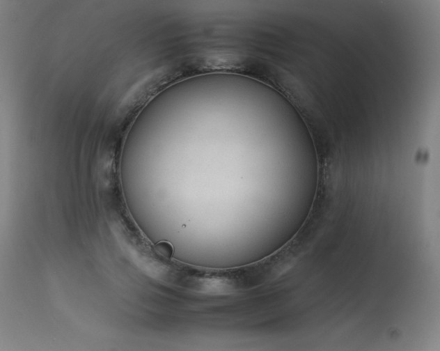 X0000114170741200910081522