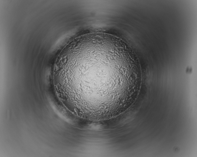 X0000114170742200910081522