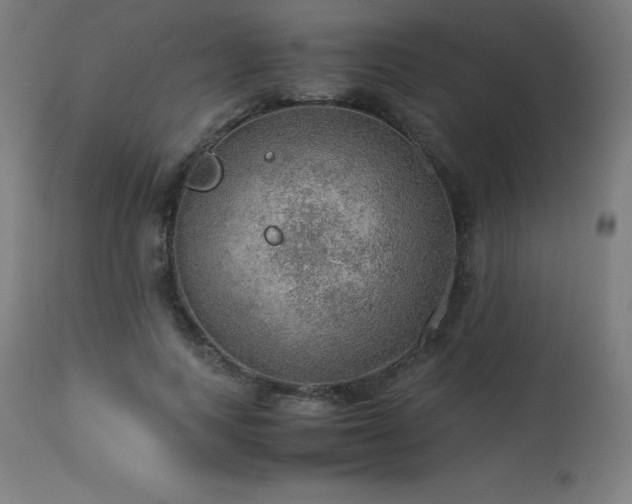 X0000114170743200910081522