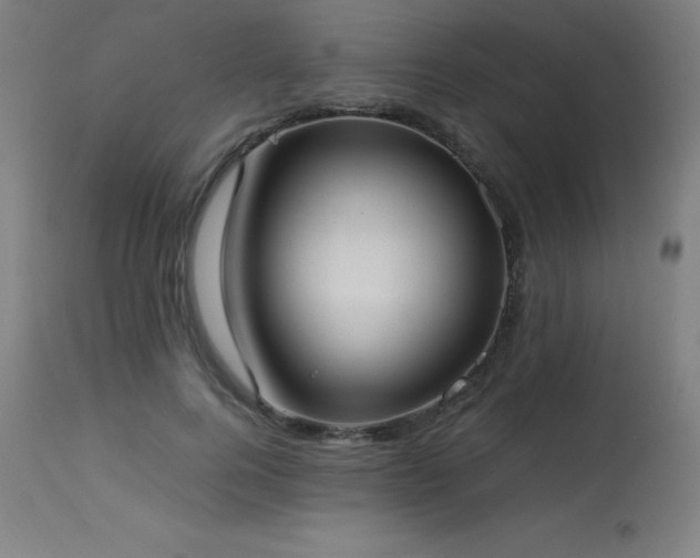 X0000114170744200910081522