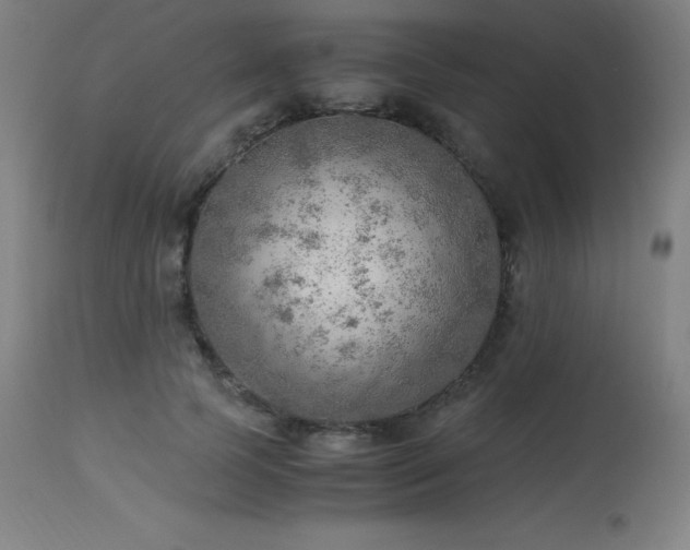 X0000114170745200910081522