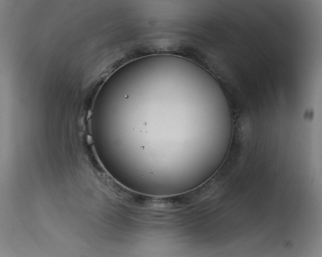 X0000114170746200910081522