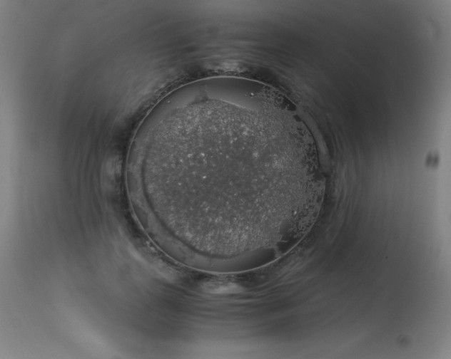 X0000114170747200910081522
