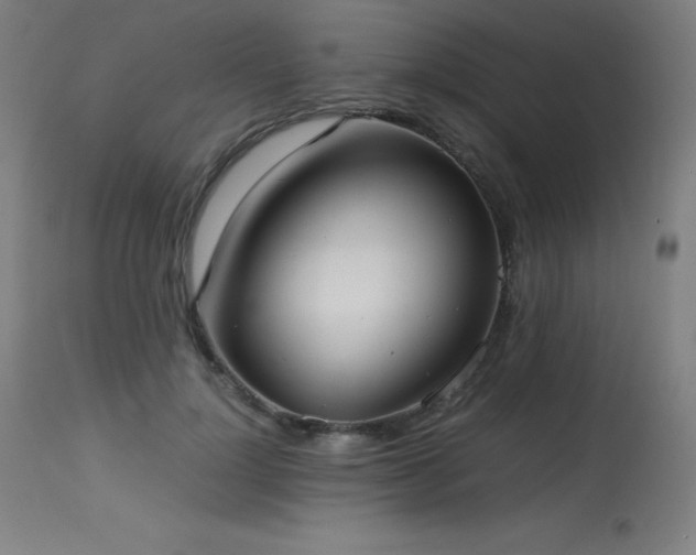 X0000114170748200910081522