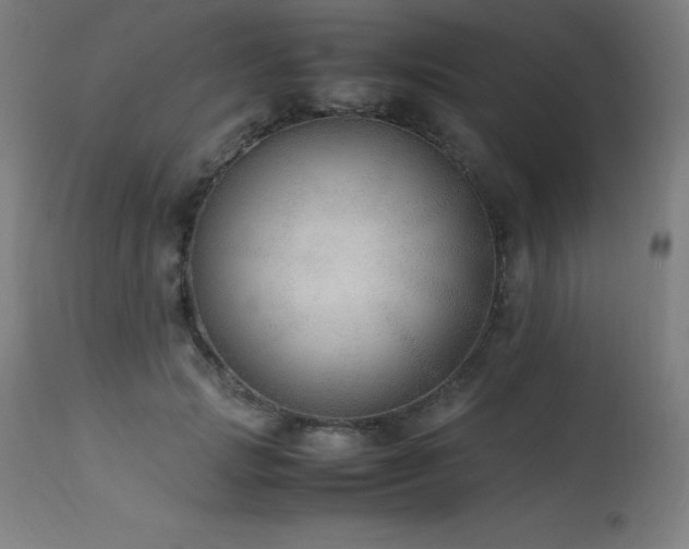 X0000114170749200910081522