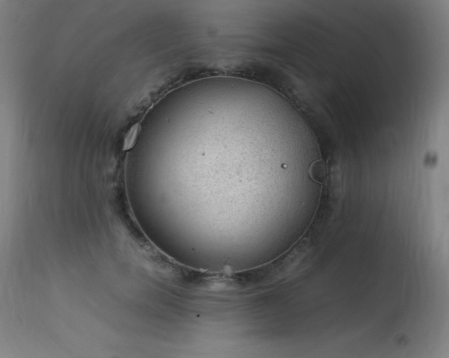 X0000114170750200910081522