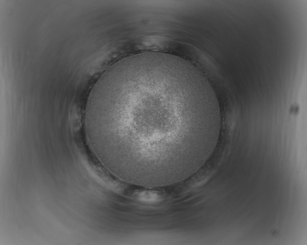 X0000114170751200910081522