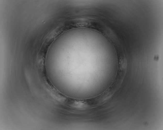 X0000114170753200910081522