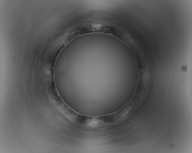 X0000114170754200910081522