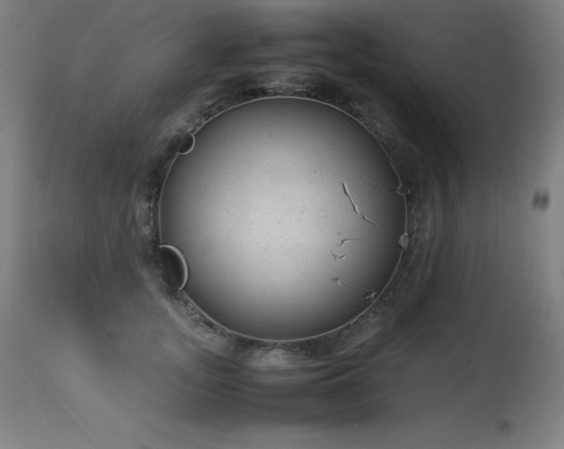 X0000114170755200910081522