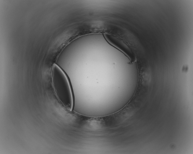 X0000114170756200910081522