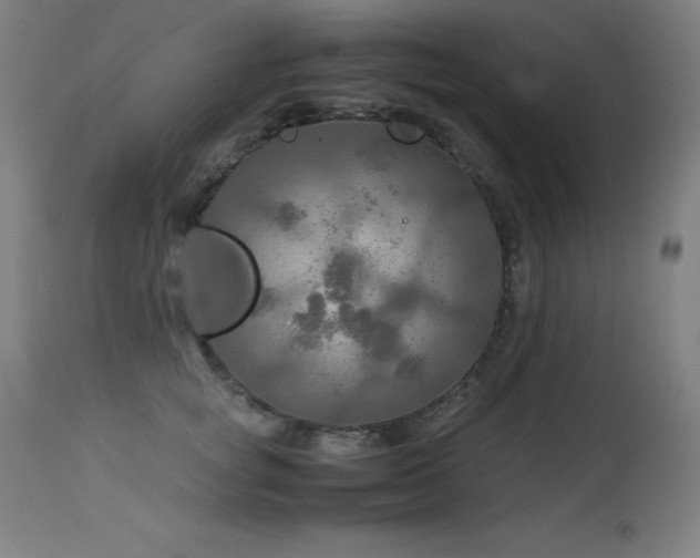 X0000114170757200910081522