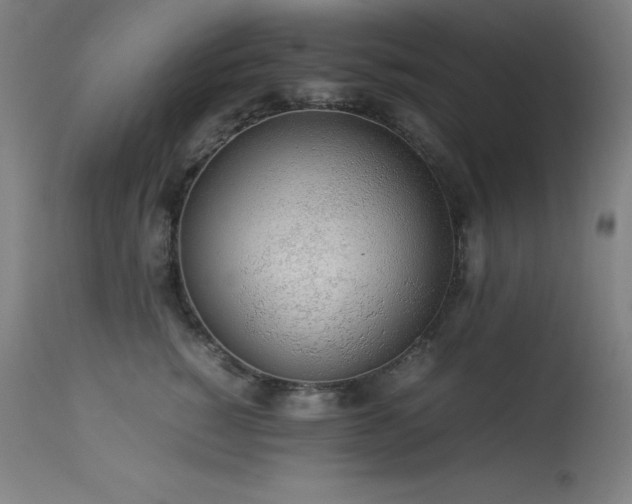 X0000114170760200910081522