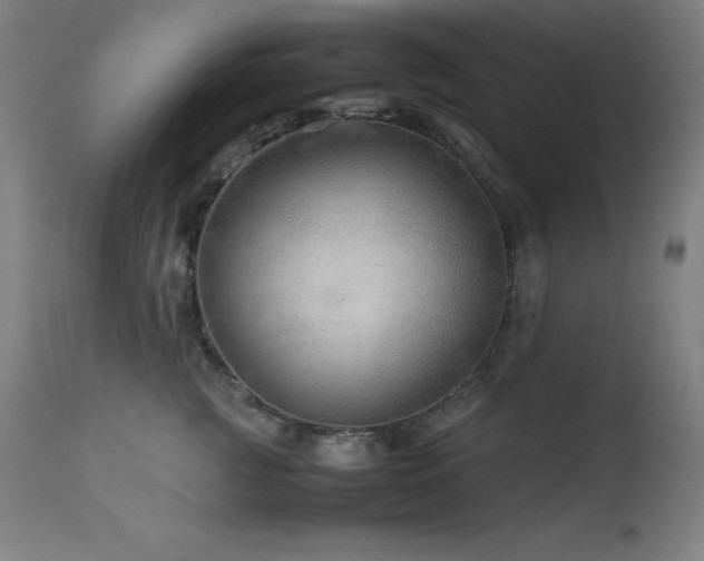 X0000114170761200910081522