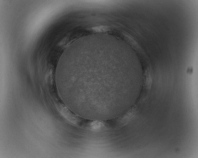 X0000114170762200910081522