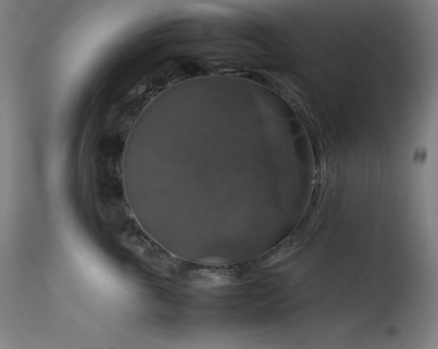 X0000114170763200910081522