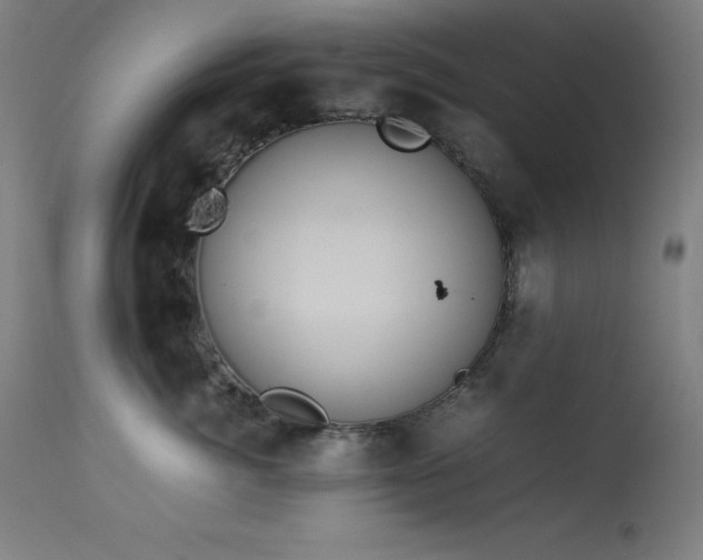 X0000114170764200910081522