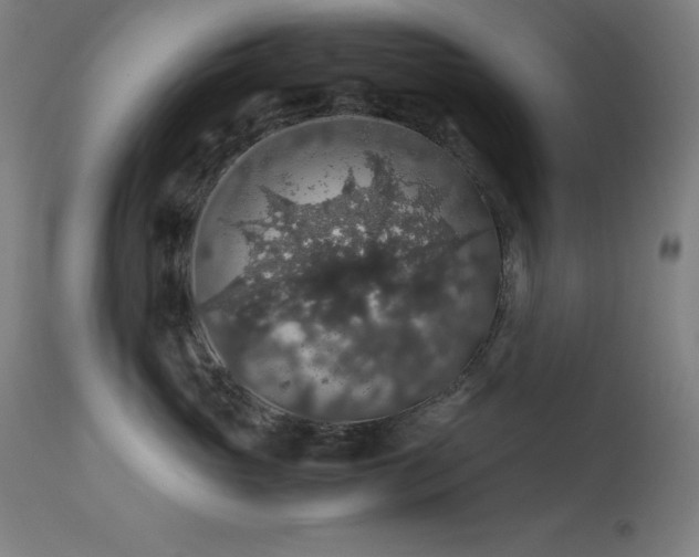X0000114170765200910081522
