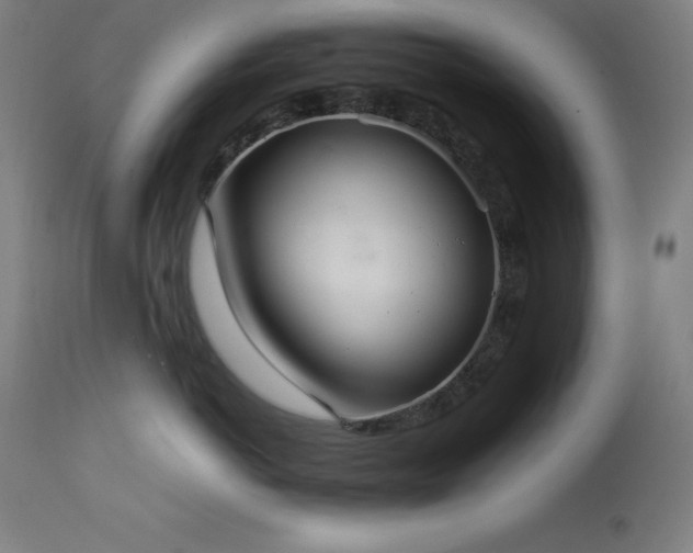 X0000114170766200910081522